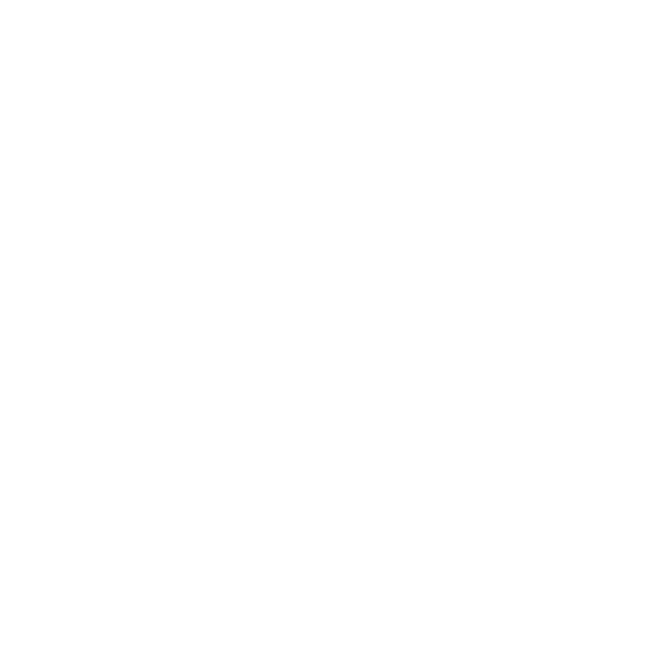 IRENE NUÑEZ (PILATES & WOMAN) logo